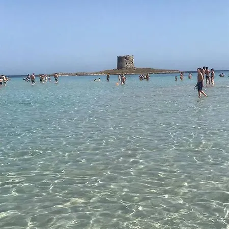 Stelle Marine * Viddalba