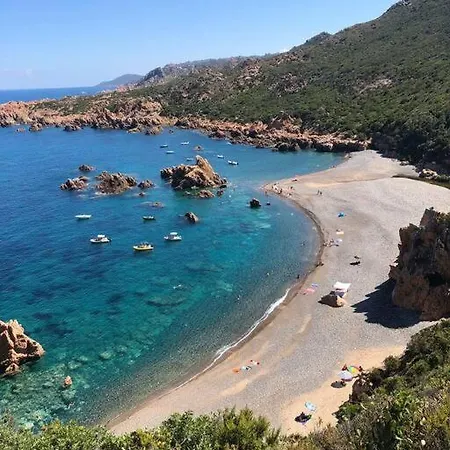 Stelle Marine Viddalba